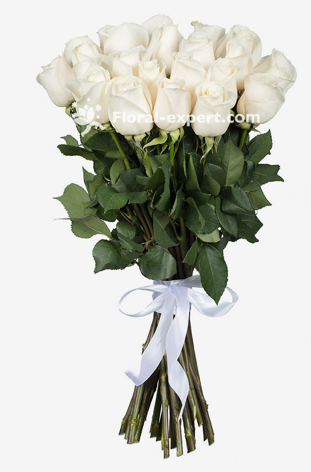 White Roses