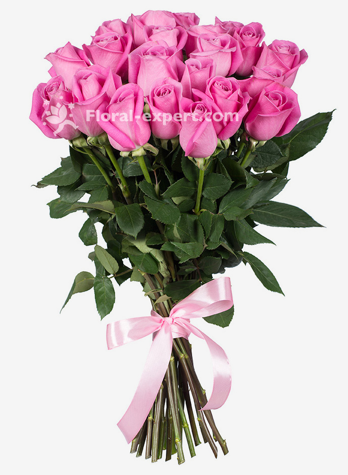 Pink Roses